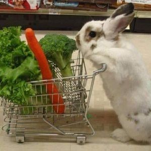 Meet your Posher, Jasmine